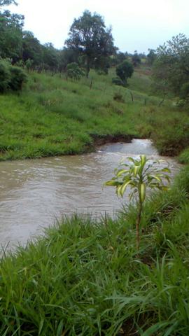 Sitio em monte alto -itaipe - Foto 6