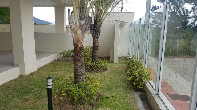 Apartamento à venda com 2 dormitórios em Ribeirão da ilha, Florianópolis cod:1953 - Foto 15