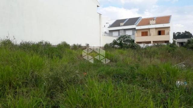 Terreno à venda em Guarujá, Porto alegre cod:TE1433 - Foto 4