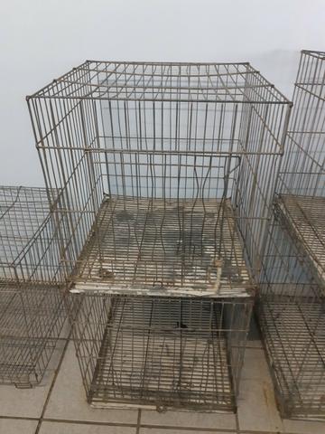 Gaiolas banho e tosa ( pet shop) - Foto 4