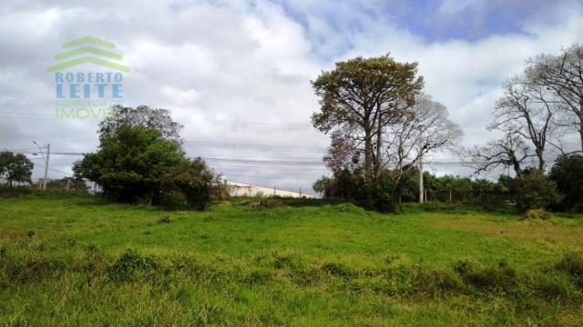 Terreno, Protásio Alves, Porto Alegre-RS - Foto 5