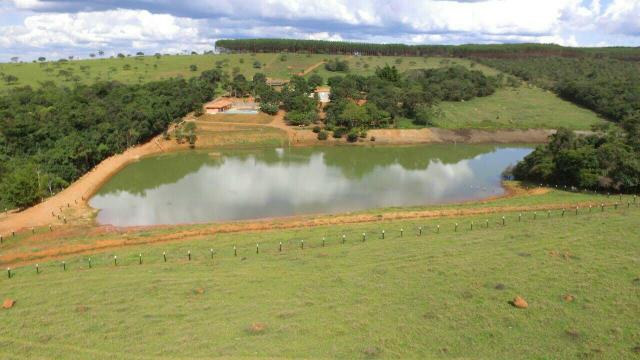 Urgente 20 hectares planalmira 35 km Anápolis. - Foto 11