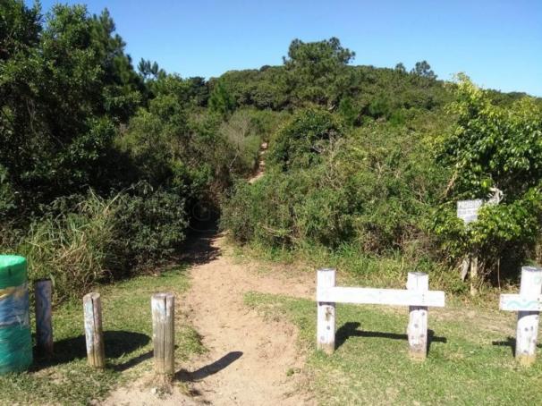 Apartamento à venda com 2 dormitórios em Rio tavares, Florianópolis cod:72 - Foto 16