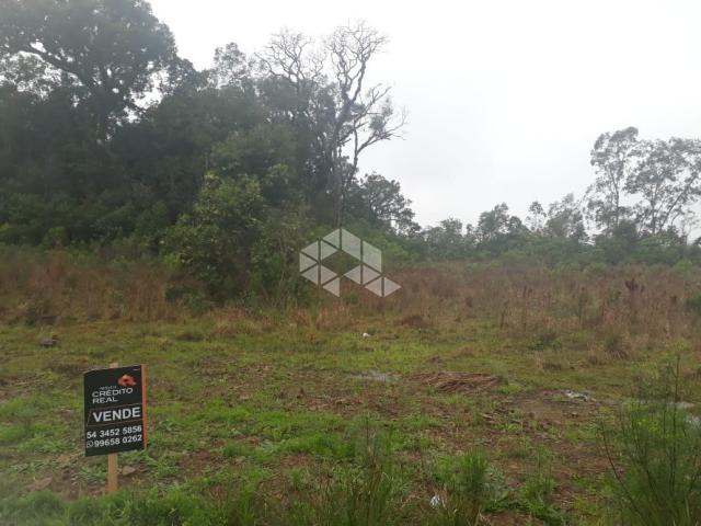 Terreno à venda em Licorsul, Bento gonçalves cod:9904290 - Foto 5