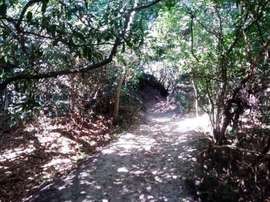 Apartamento à venda com 2 dormitórios em Rio tavares, Florianópolis cod:72 - Foto 19