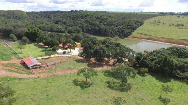 Urgente 20 hectares planalmira 35 km Anápolis. - Foto 4