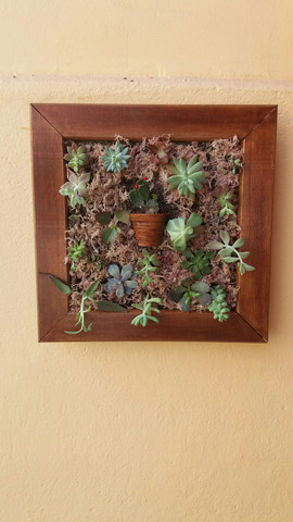 Molduras - Foto 5