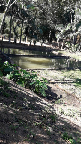 Linda propriedade em marechal Floriano. - Foto 2