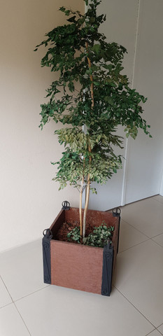 Vaso Decorativo de Palnta em Madeira