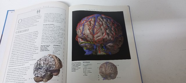 Atlas do corpo humano - Foto 2