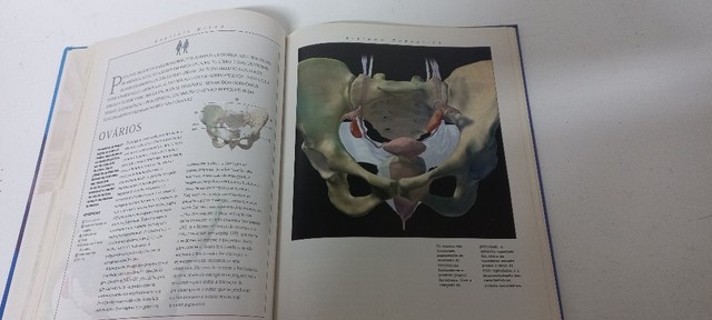 Atlas do corpo humano - Foto 4