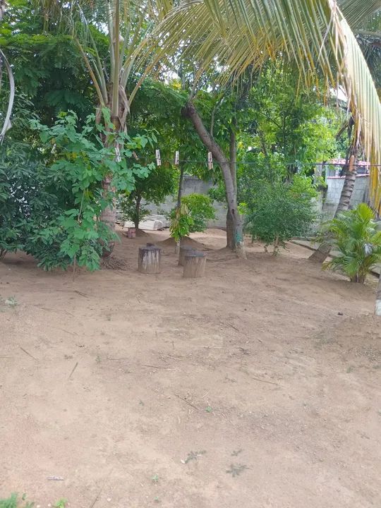 foto - Cariacica - Campina Grande