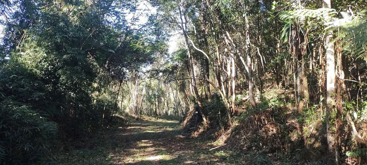 Lindos 20 mil mts izolado próximo asfalto 93 mil reais 