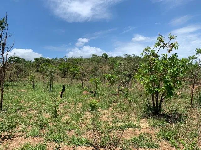  Terreno rural 7.8ha, casa antiga, barracão, arvores frutíferas, 2 nascentes,2 lagoas, Jab - Foto 5