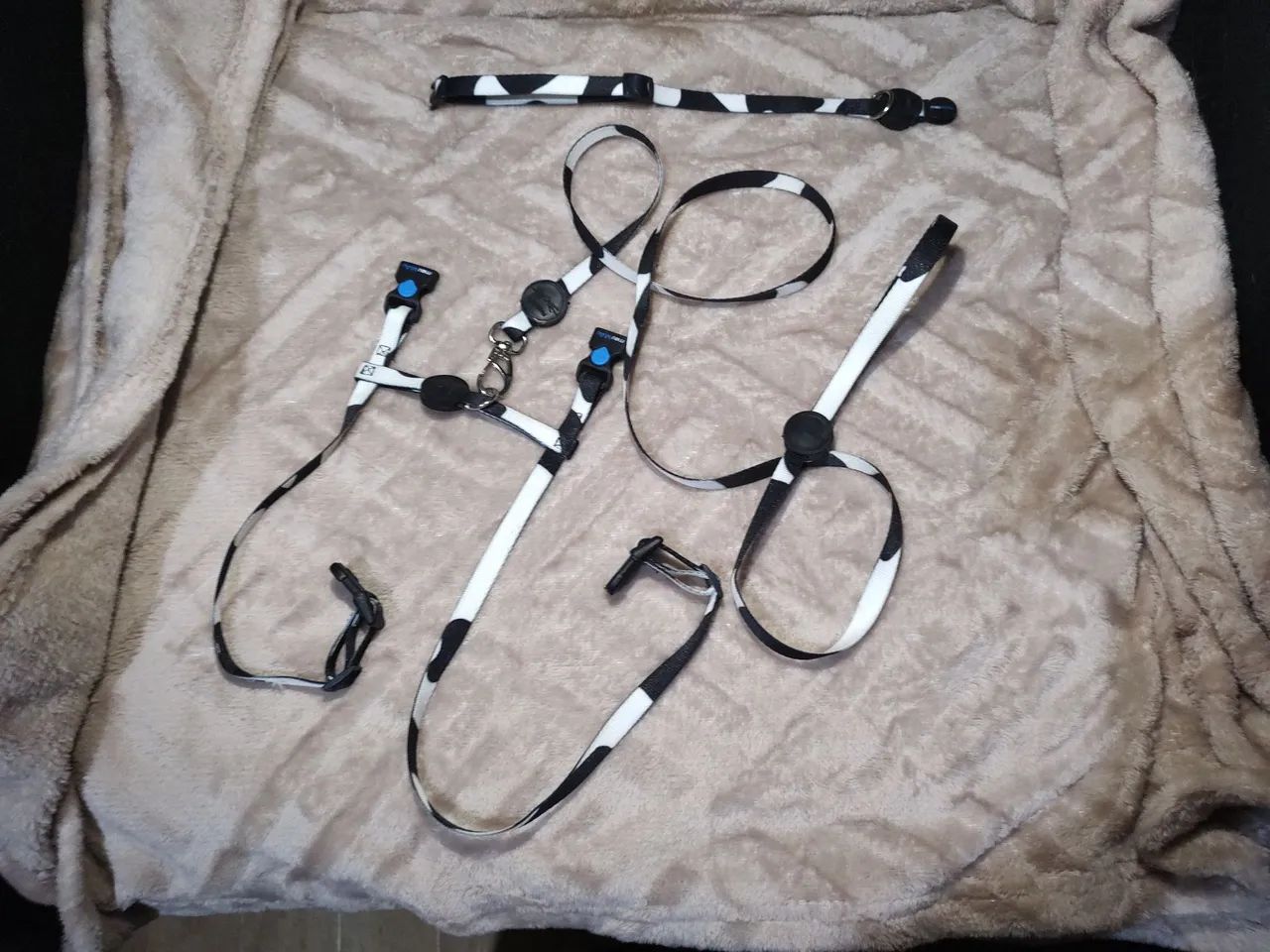 Coleira e guia em H - Estampa de vaca