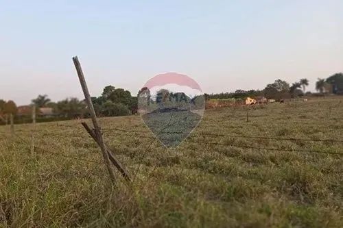 Terreno à venda - Iacri/SP - Foto 3