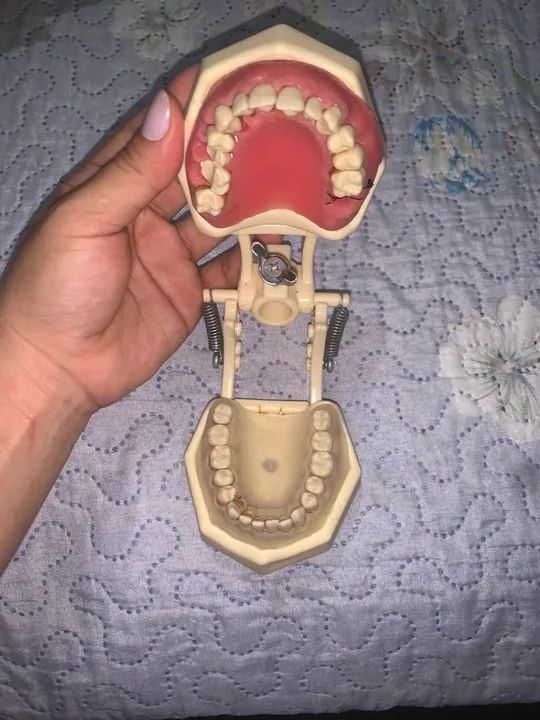 Vende-se manequim odontológico  - Foto 3