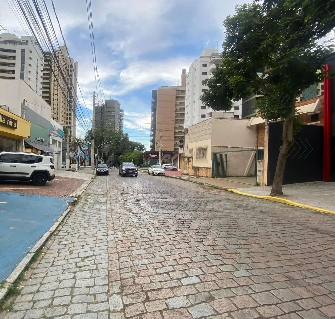 terreno - Centro - Campinas - Foto 4