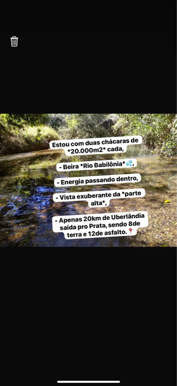 Vendo chácara 20.000 metros rio babilônia  - Foto 2