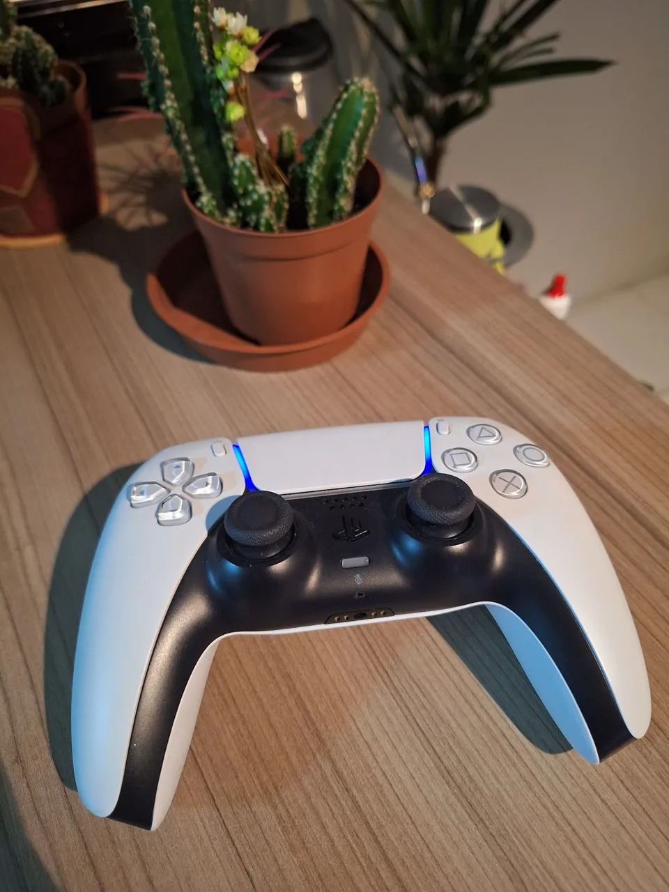 Controle Playstation 5 (DualSense)
