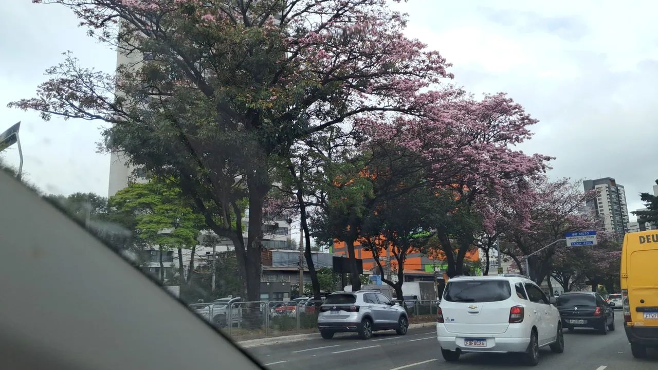 Lanchonete luxo lucro líquido 25 mil  - Foto 4