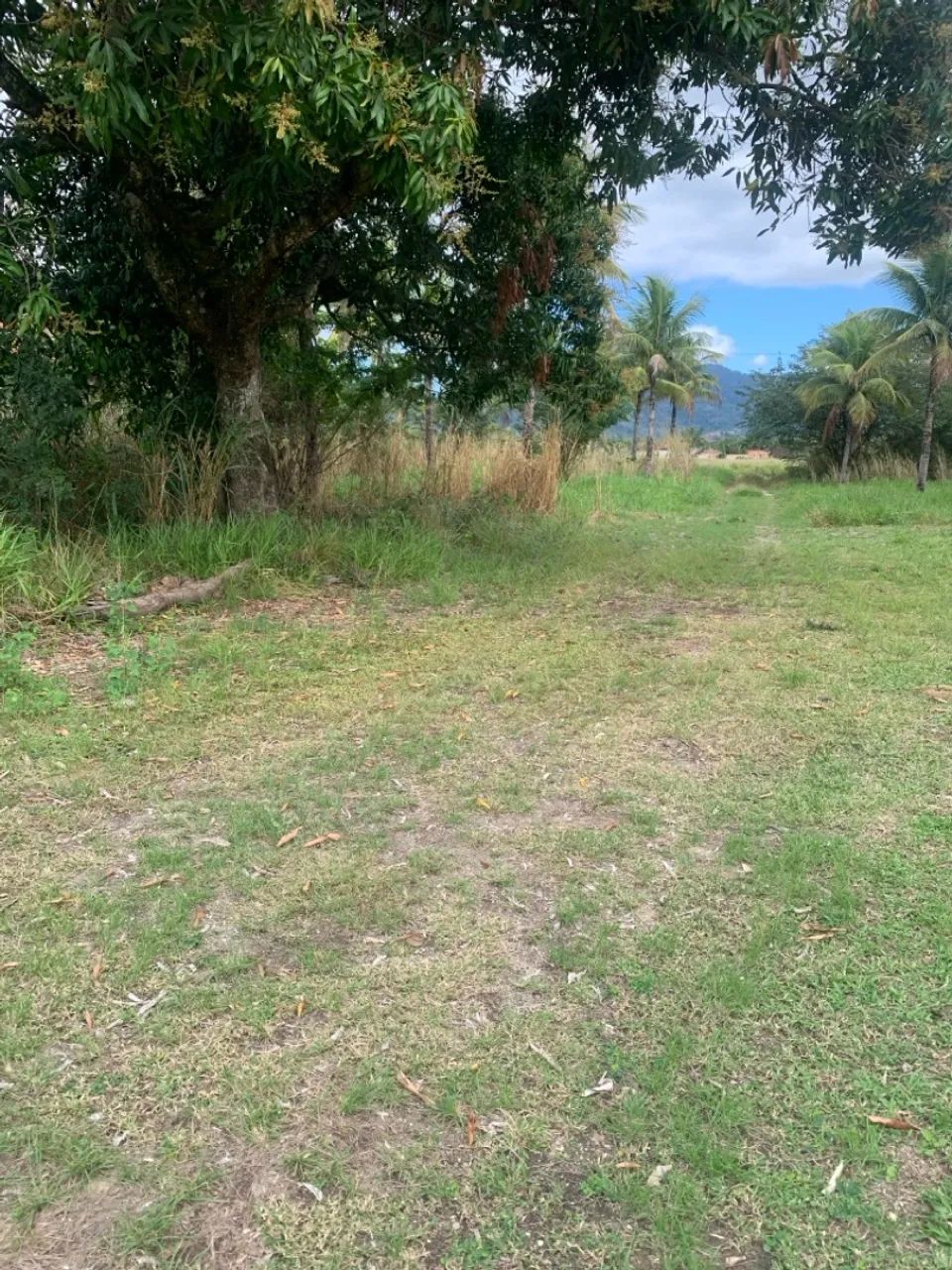 Terreno