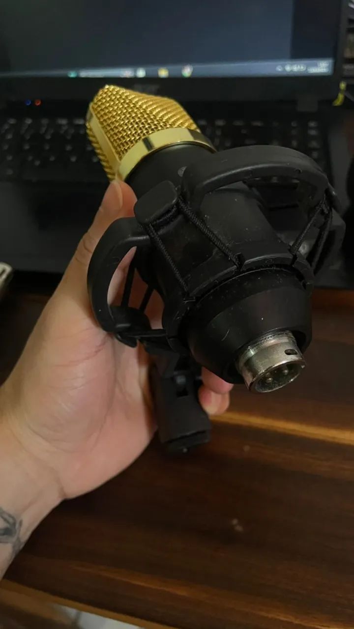 Microfone Condensador Wvngr BM-700 com Shockmount - Dourado