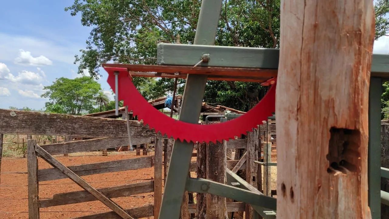 Tronco contenção bovino - Foto 4