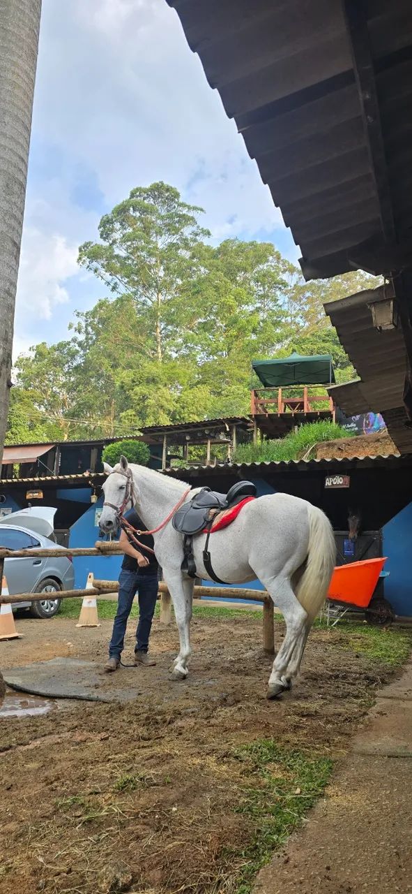 EGUAS MANSA  - Foto 6