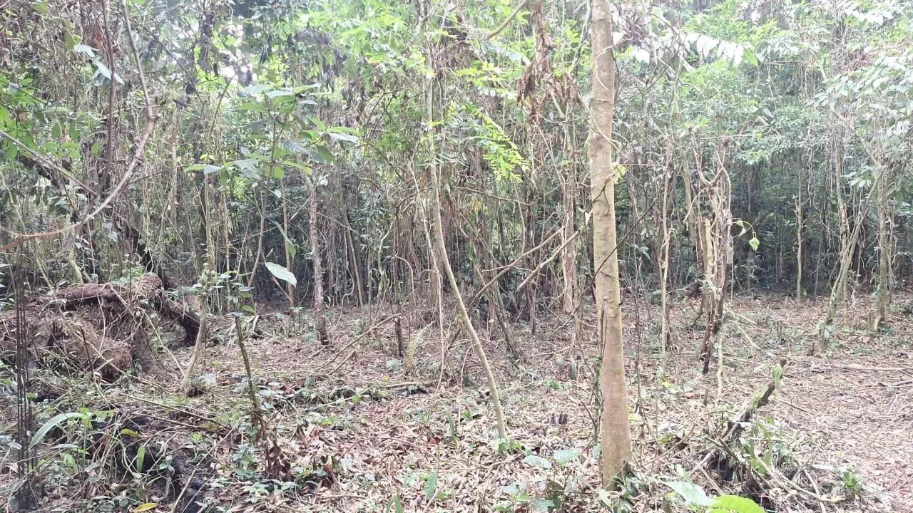 Imóvel para venda possui 1 metros quadrados em Caiubura - Bertioga - SP - Foto 3