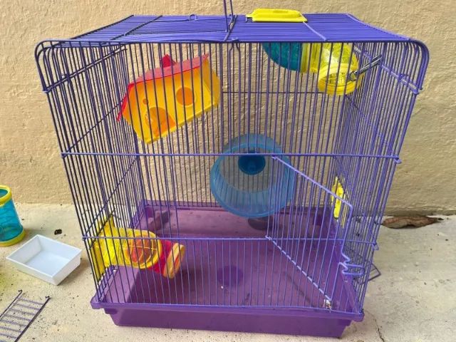 Casinha de hamster