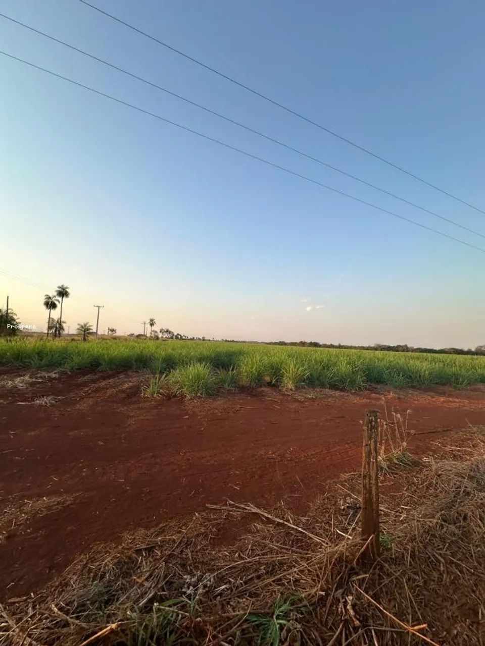 Fazenda para Venda em Camapuã, aeroporto