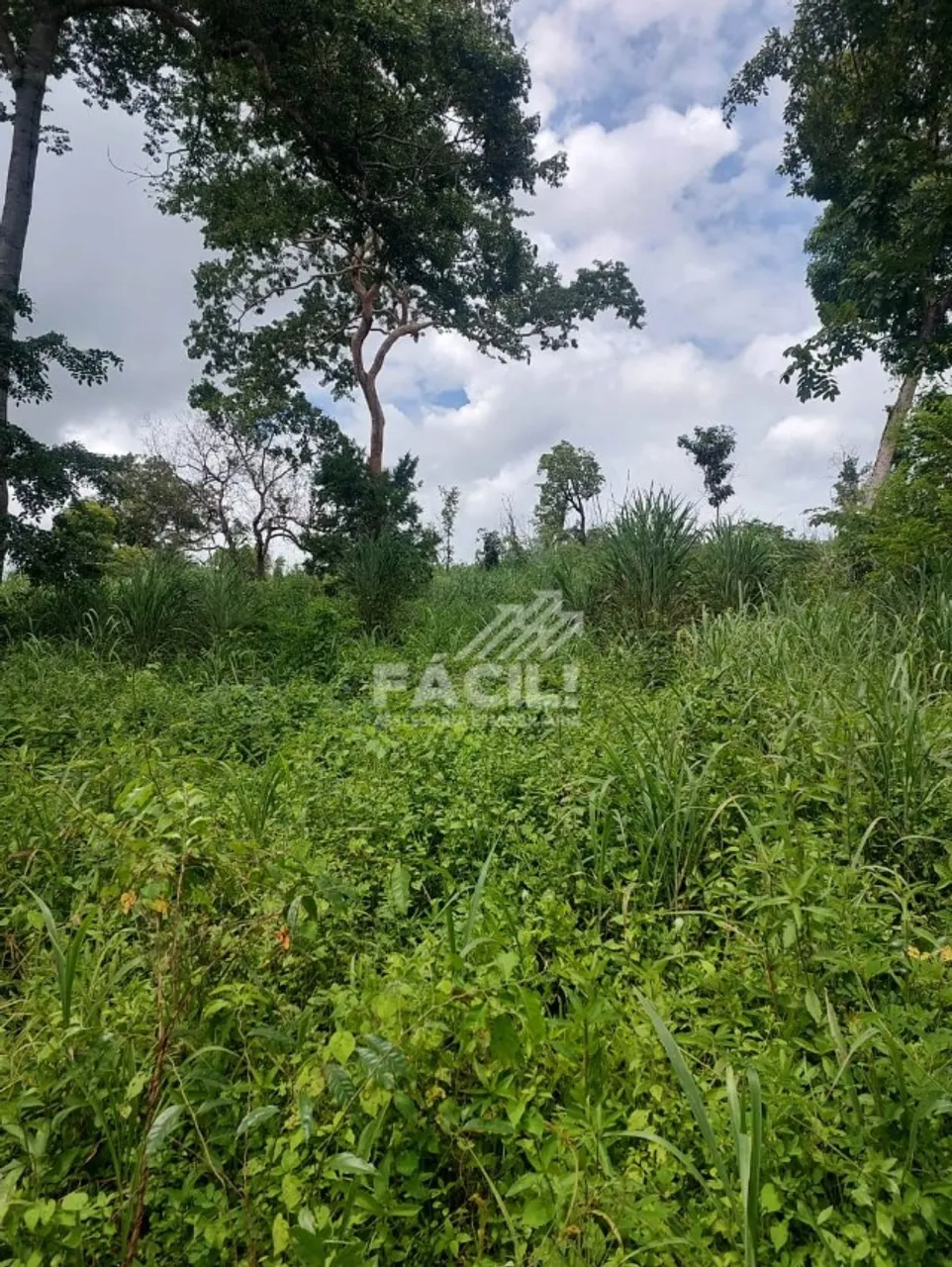 Vende-se Chácara no Setor Água Fria de 4.564 m²