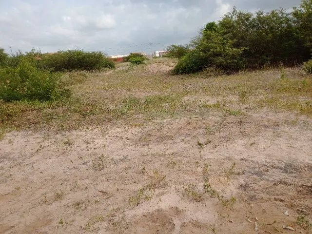 TERRENO COM ESCRITURA PRA VENDER LOGO. - Foto 2