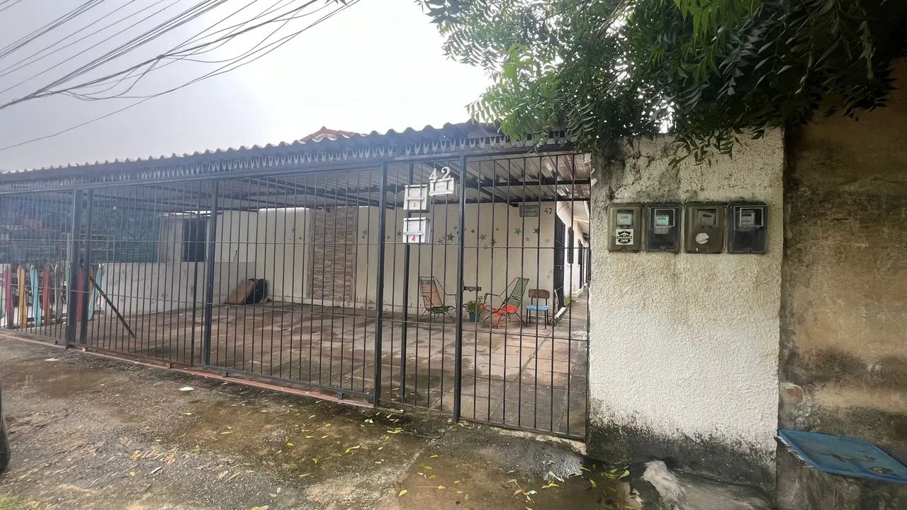 Foto - Paulista - Pau Amarelo