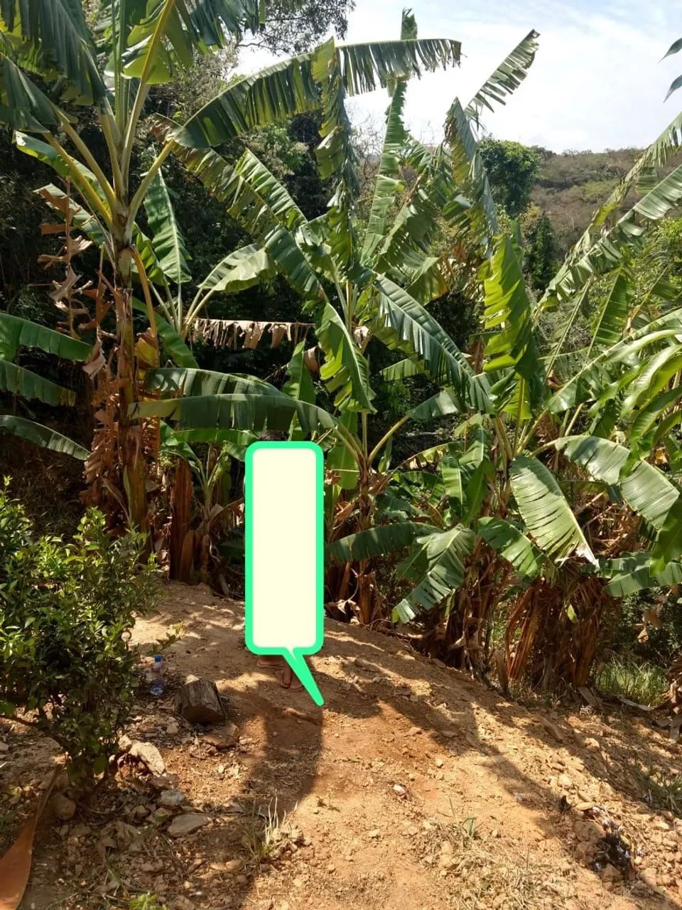 Oportunidade única na Serra do cipó!! - Foto 3