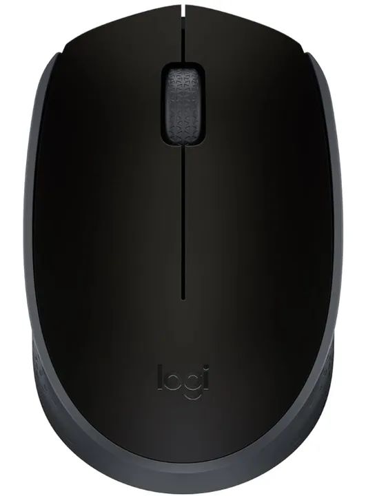 mouse sem fio logitech M170