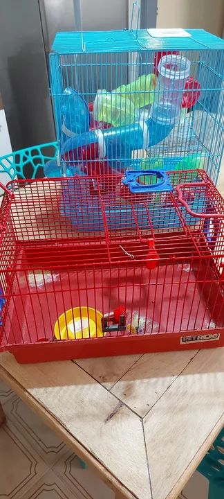Gaiola para Roedores - 2 andares - Pronta para seu Pet!