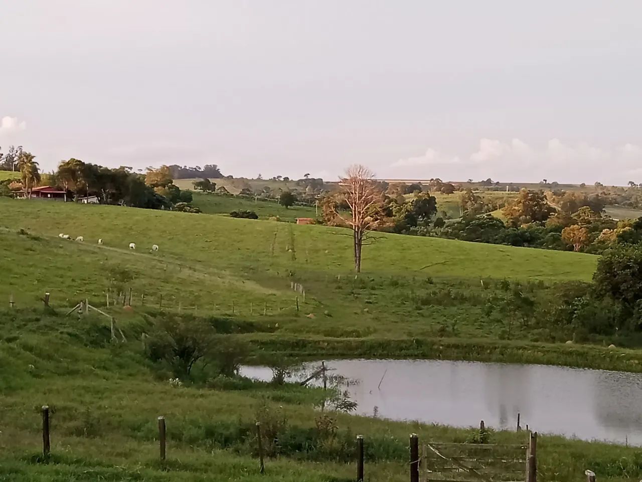 Foto Imóvelp