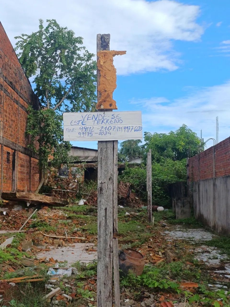 Vendo este terreno - Foto 3