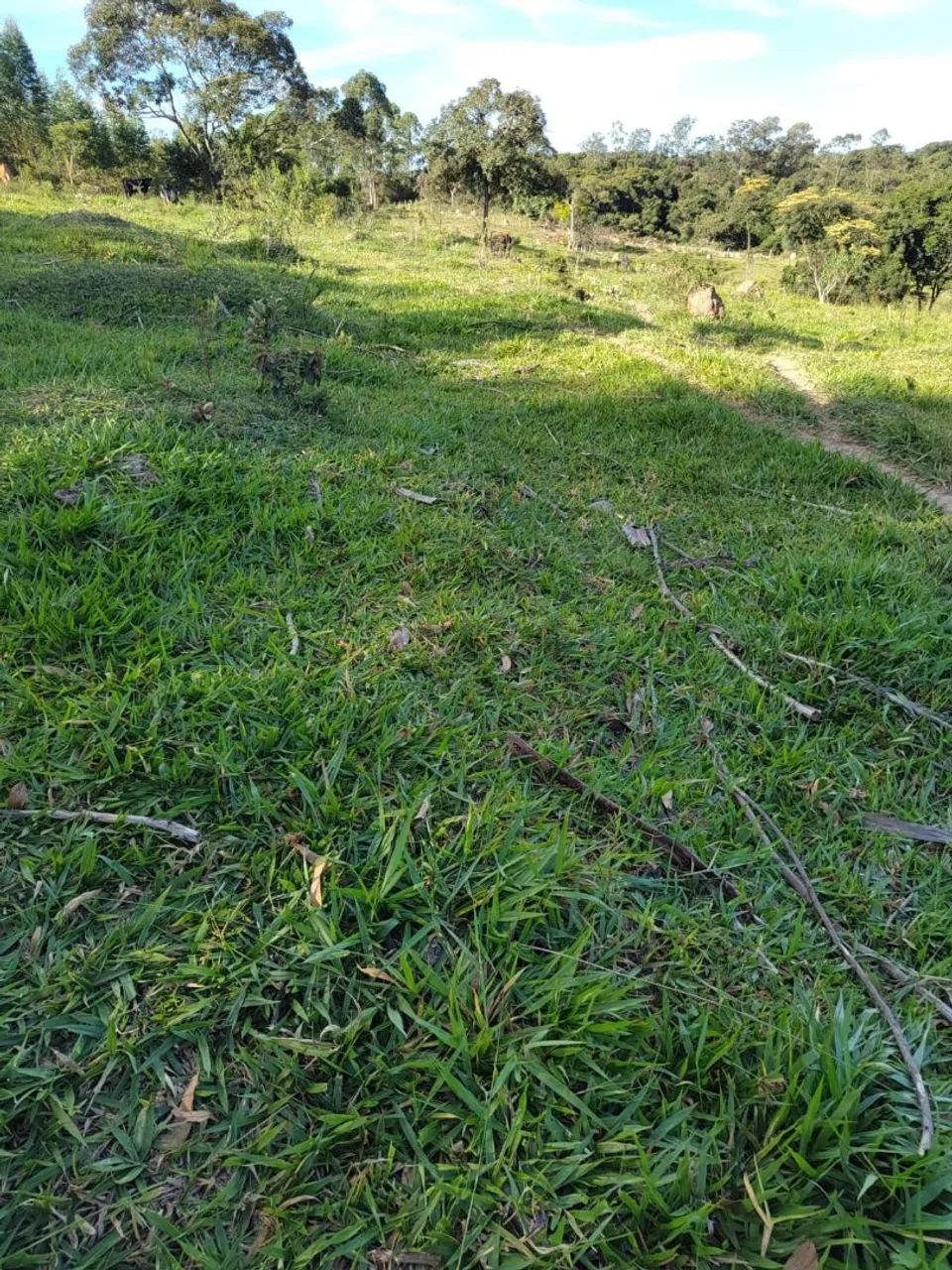 Sítio em Bonfim mg entre rio manso - Foto 3