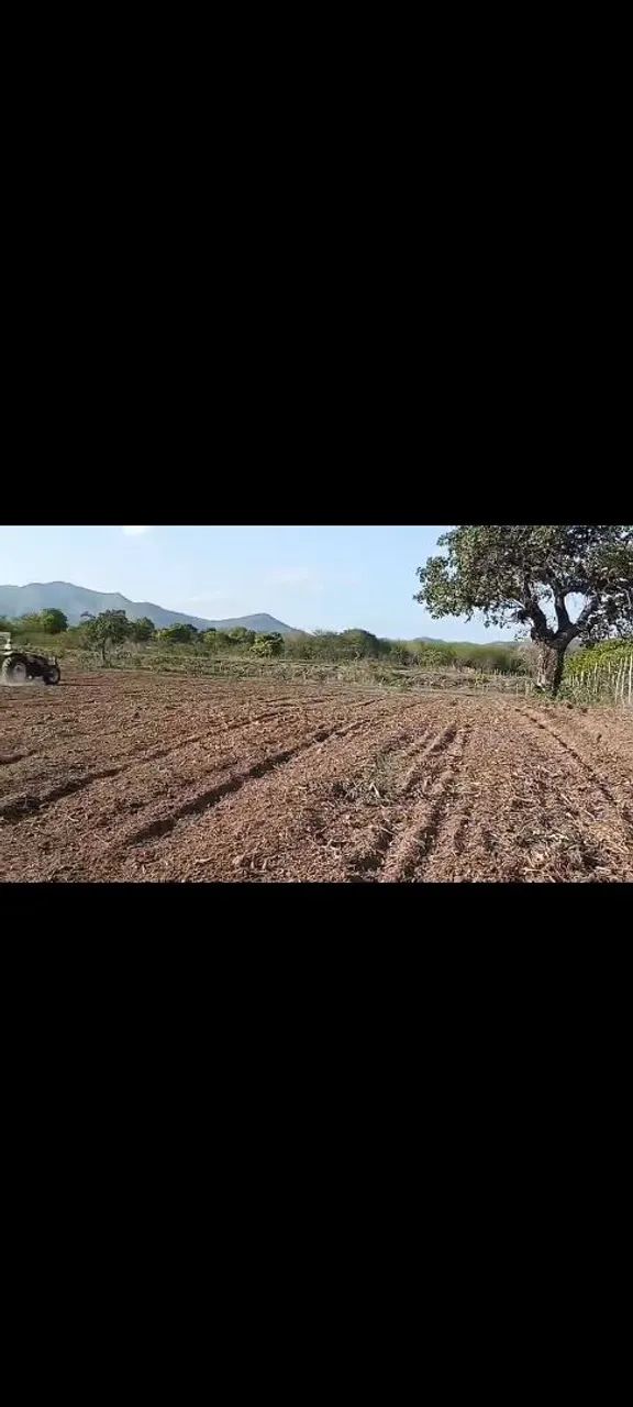 Terreno