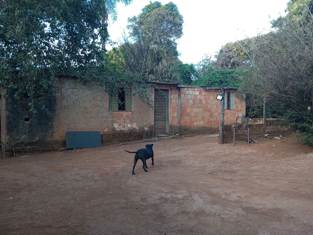 Vende se chácara  - Foto 4