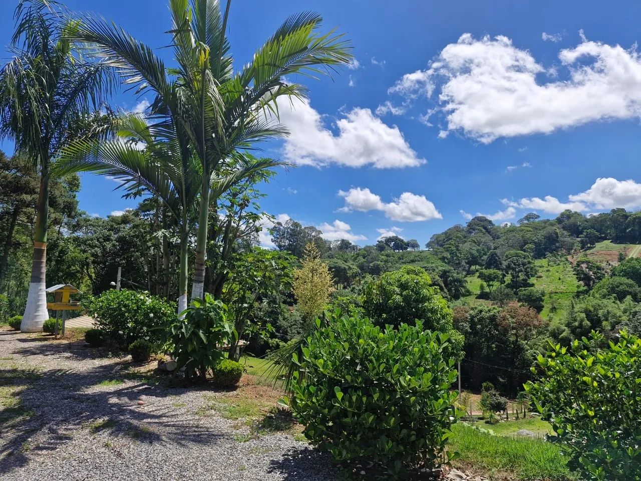 Chácara à venda com 250m², 3 quartos e 5 vagas - Foto 3