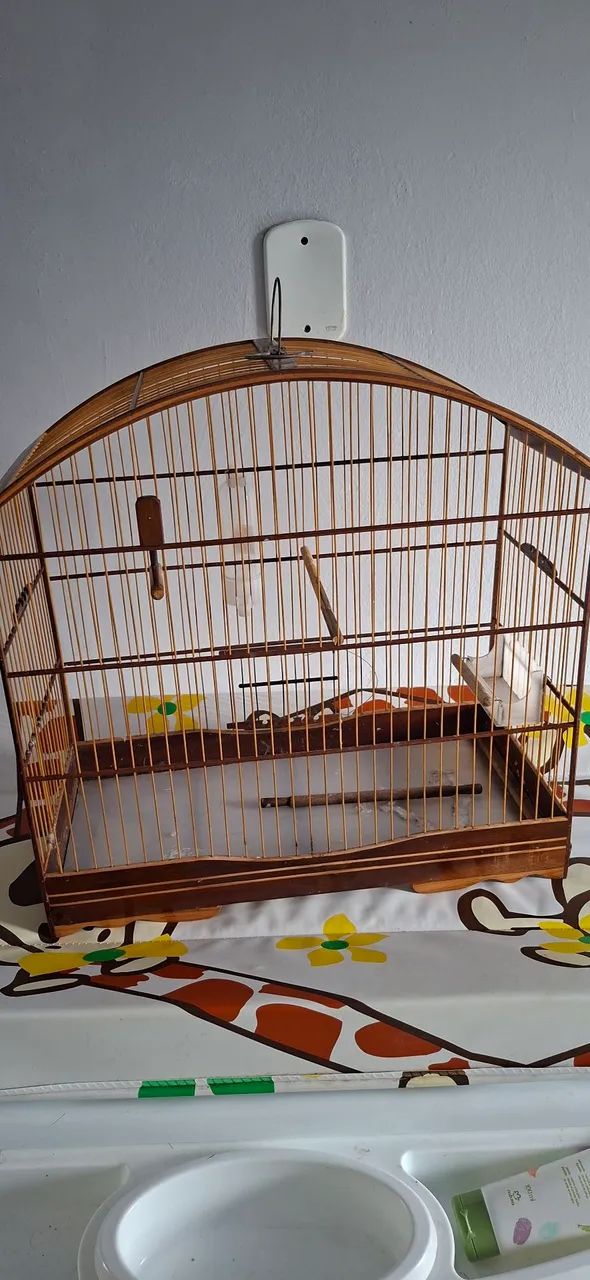 Gaiola de pássaros 