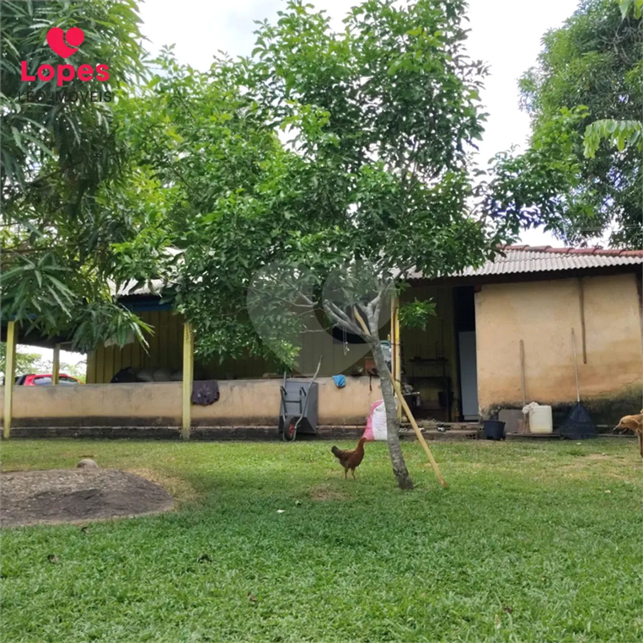 Fazenda com 1 quartos à venda em Bairro novo - RR - Foto 5