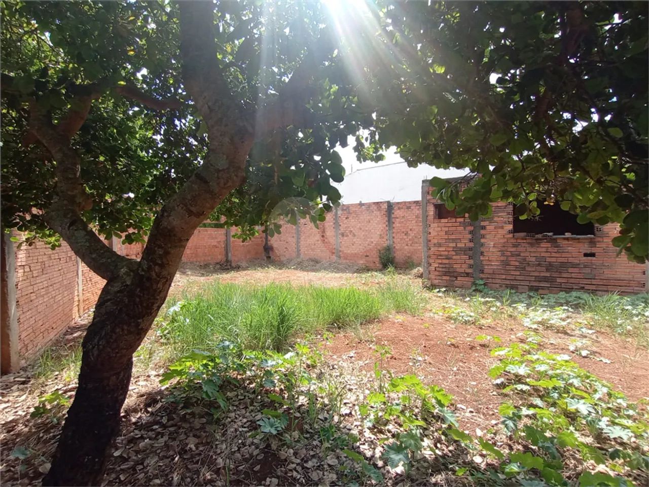 Terreno à venda em Morada do sol - SP - Foto 5