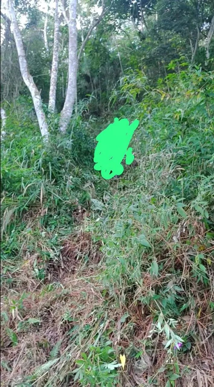 Terreno na beira da represa - Foto 4