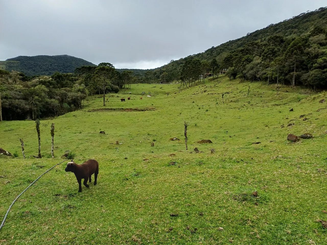 Vende-se Pousada com linda vista - Foto 5