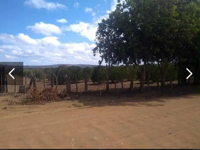 Venda de Lote - Foto 3